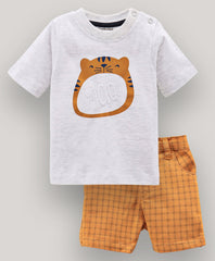 Boys tshirt shorts set