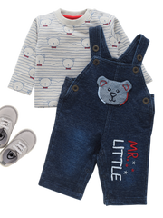 Boys Dungaree